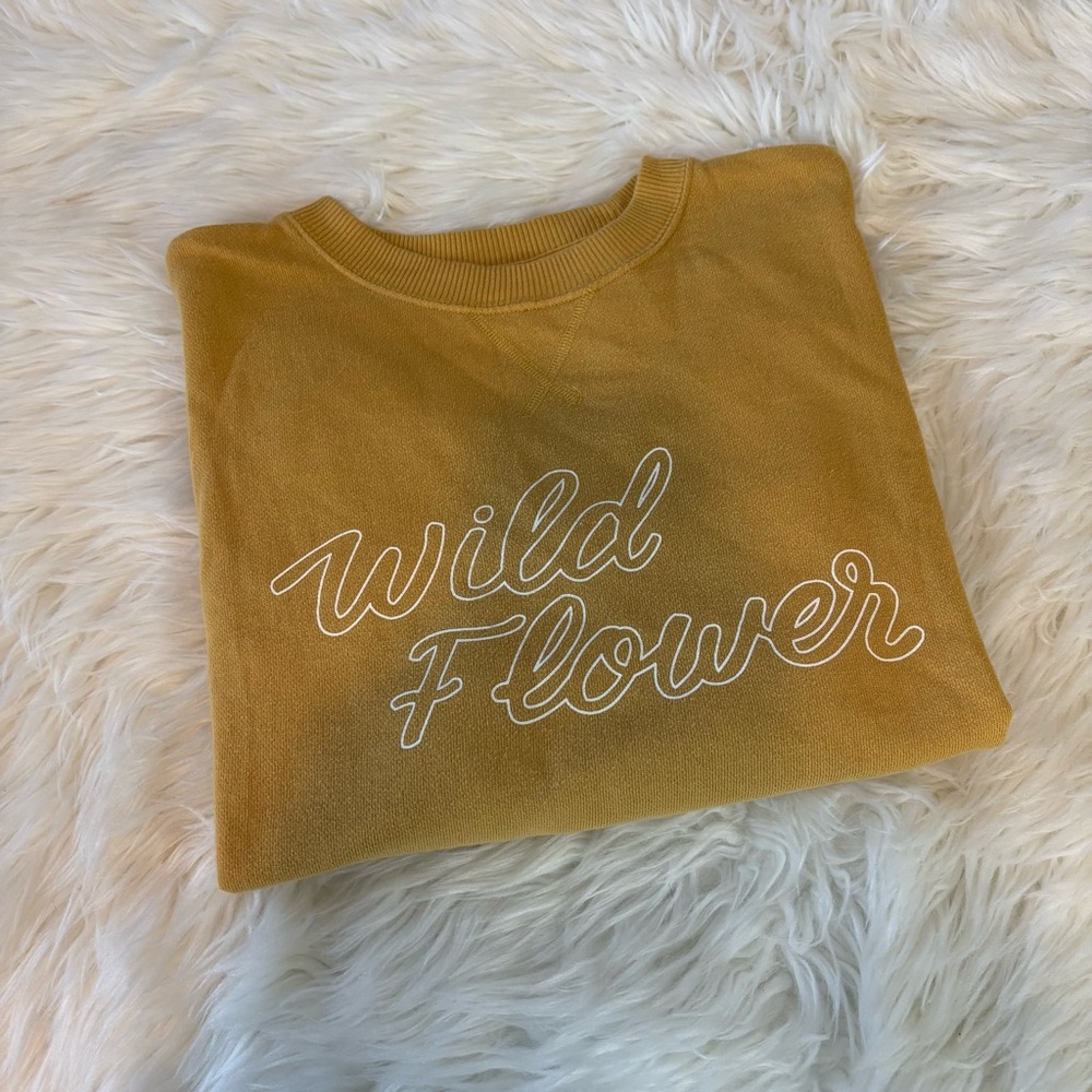 Aerie Oversized Crewneck Sweatshirt